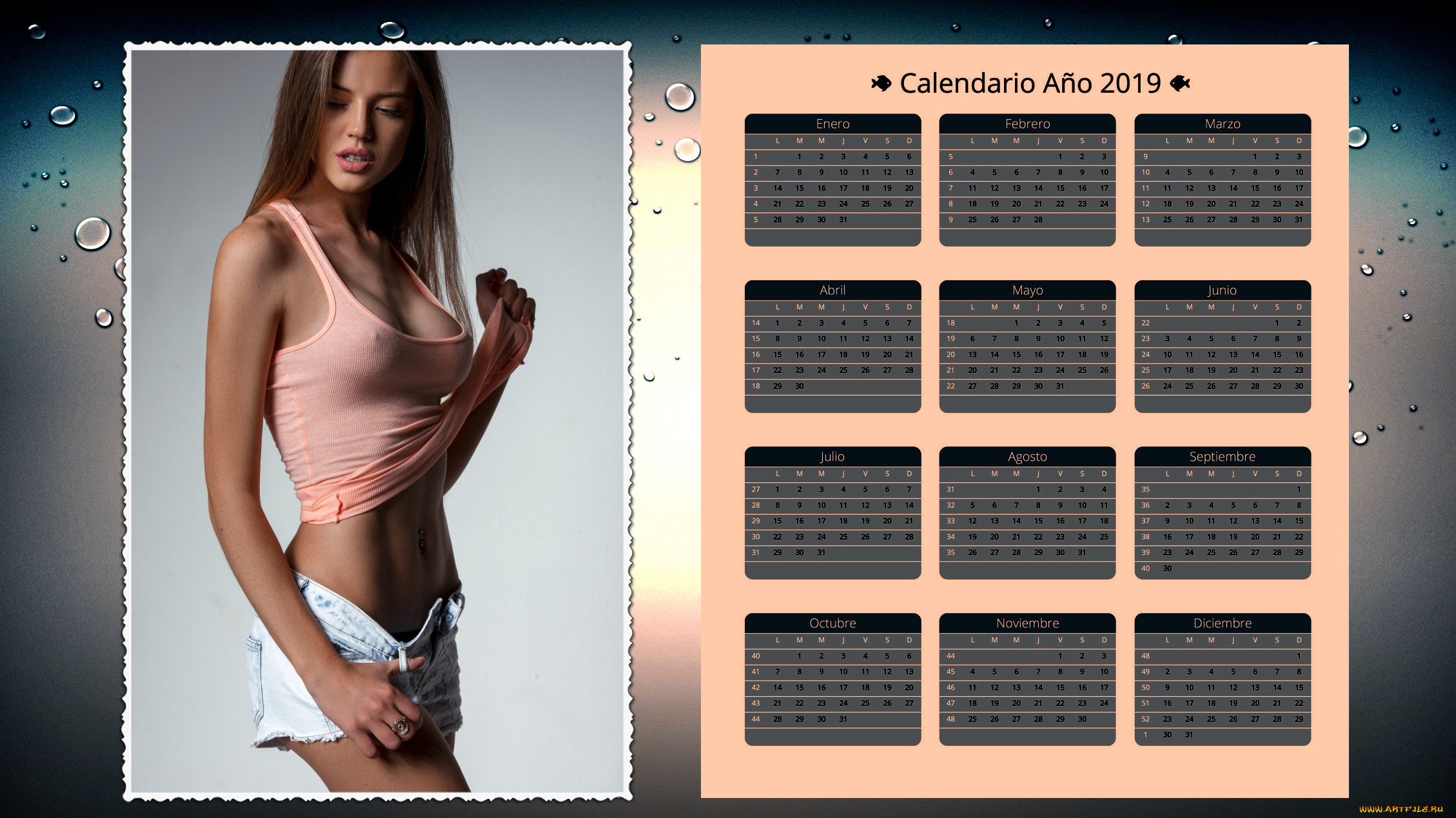 Reoflex календарь